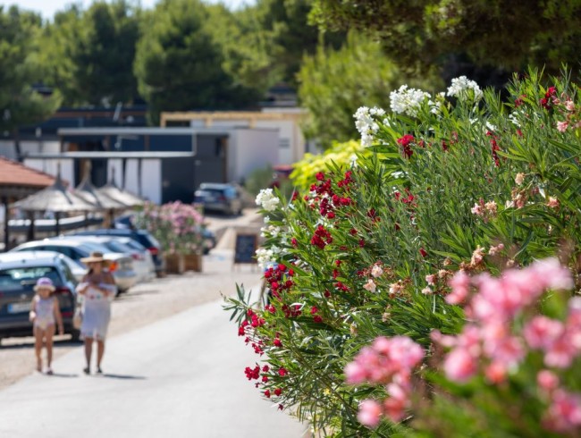 Urlaub direkt am Meer in Dalmatien
