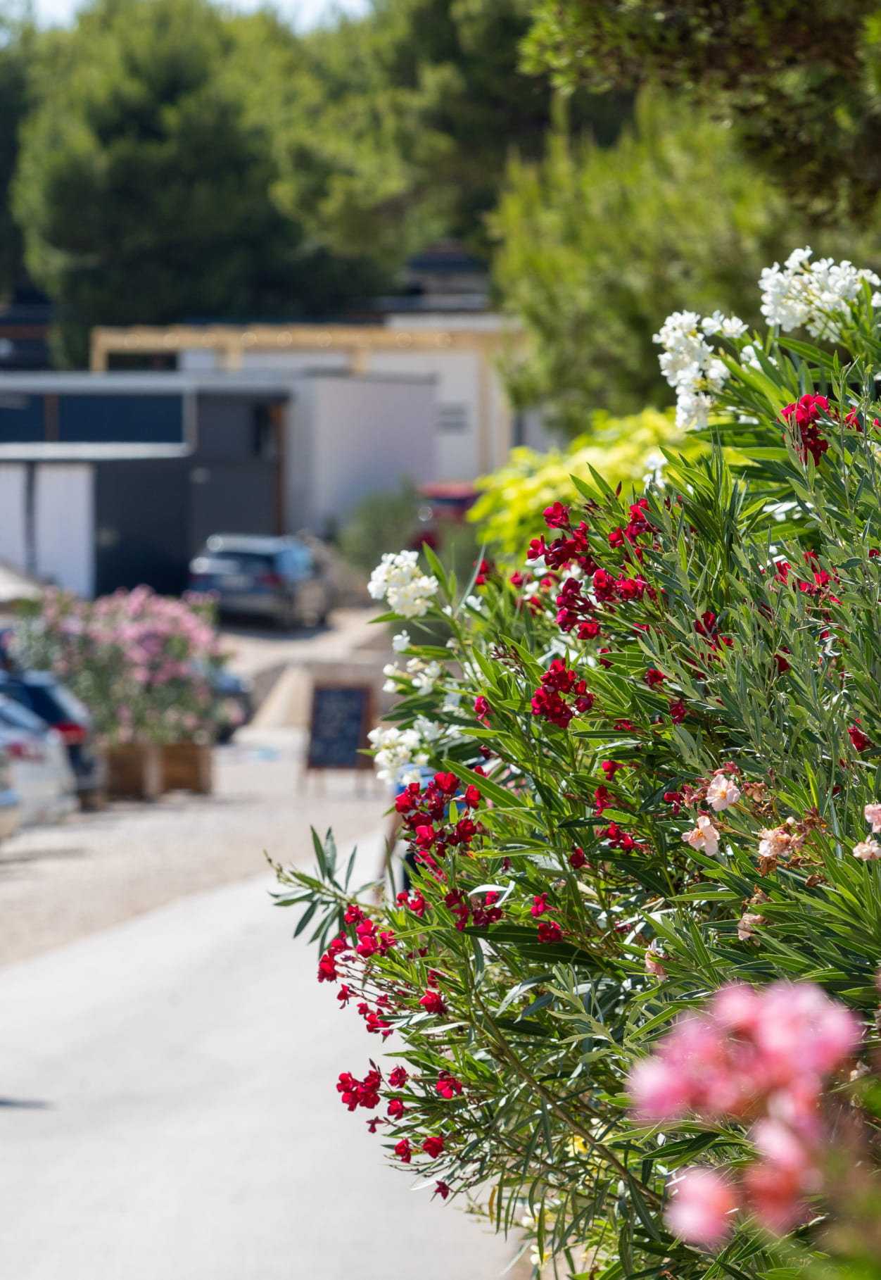 Gepflegter Campingplatz in der Nähe von Zadar an der Küste von Dalmatien